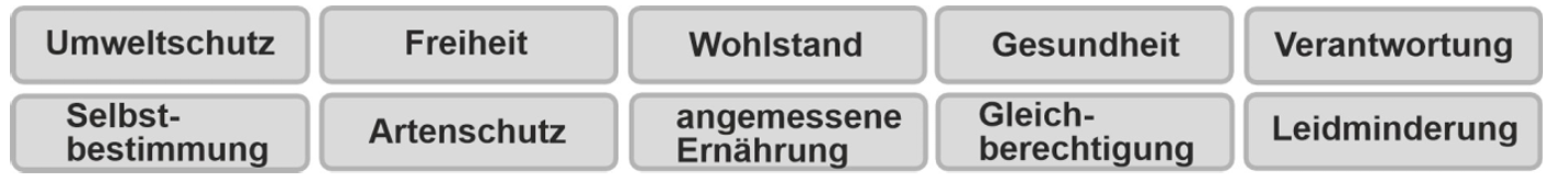 Graue Kacheln mit Wörtern wie Umweltschutz, Freiheit, Gesundheit, Verantwortung, Selbstbestimmung, Artenschutz u.a.